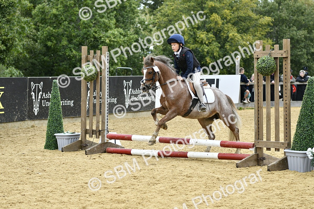 SBM_68009 - J2b - Mini Tour Junior Pony 30cm championship