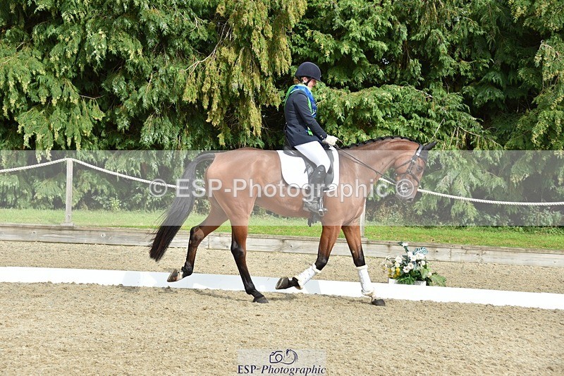 230812-160852-05410 - Novice Bronze Presentations