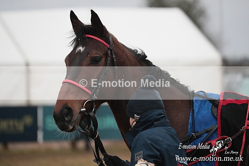 PtP 260125 968 - Cocklebarrow Point-to-Point racing with the Heythrop Hunt 26/01/25