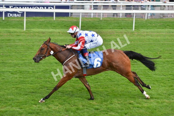 yr09072021r3-22 - Race 3 3.15pm William Hill Pick Your Places Irish EBF Novice Stakes