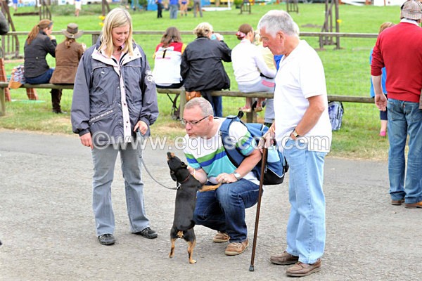 EQUISCOT 9354 - A WEE PEEK AT RHS 2013