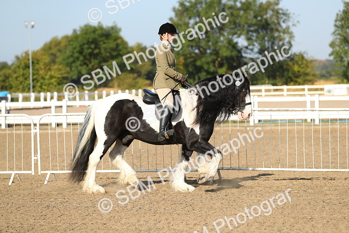 SBM_01115 - Class 42 Ridden Veteran