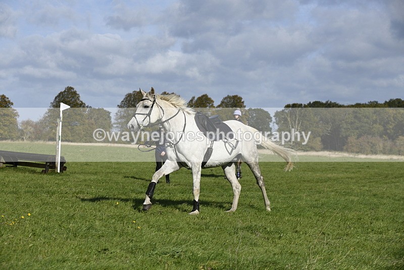 _DSC5470 - Time 10:49 to 11:23