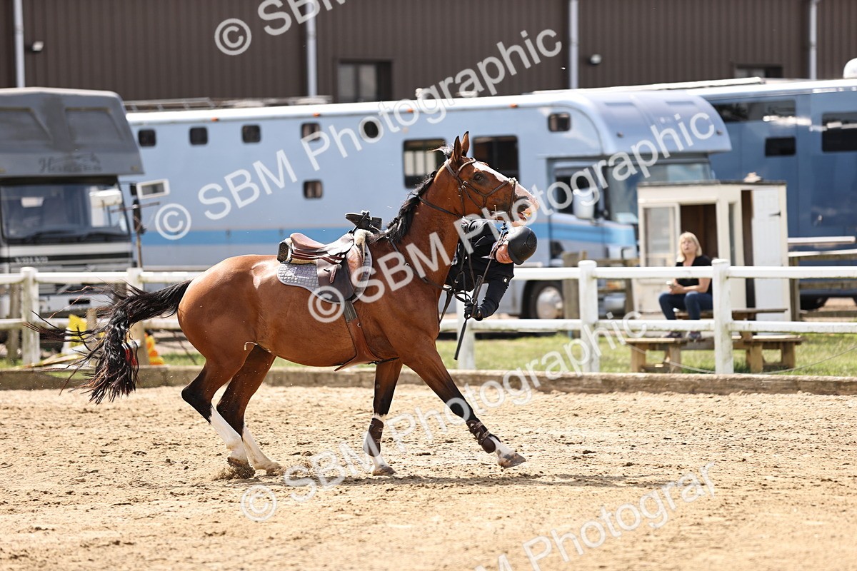 SBM_002035 - Class 9 - Senior British Novice - 90cm