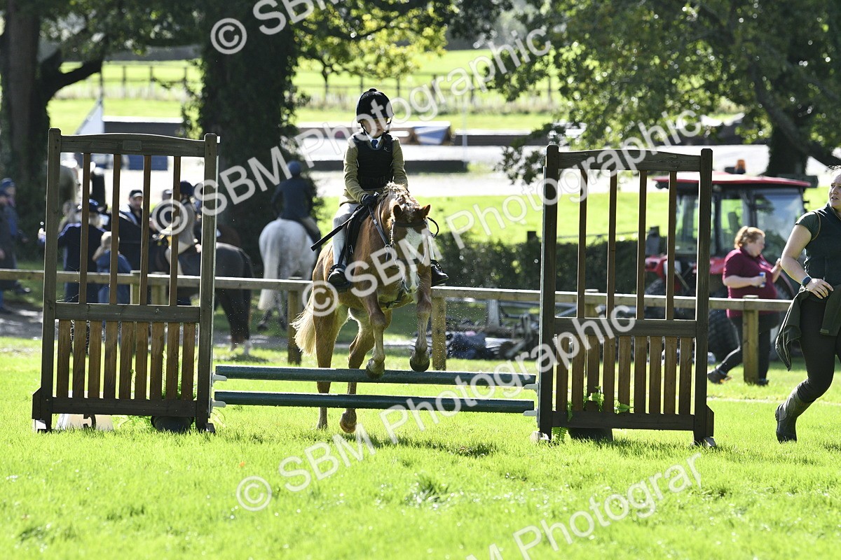SBM_38227 - S31 - Novice & Newcomer Working Hunter Pony