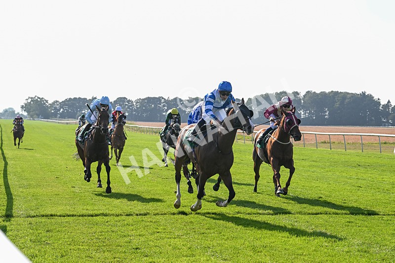 300824-Race 6-Havana Sky-6384 - Race 6