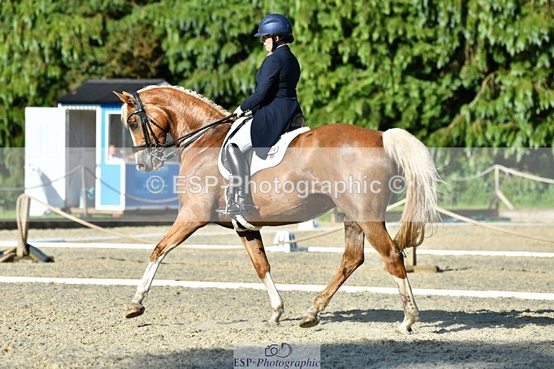 230623-181209-03187 - Cls 11 FEI PSG