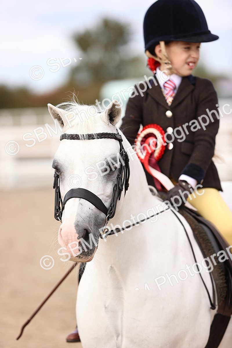 SBM_15971 - Class 416 - Prettiest Mare (IH or Ridden) Jnr
