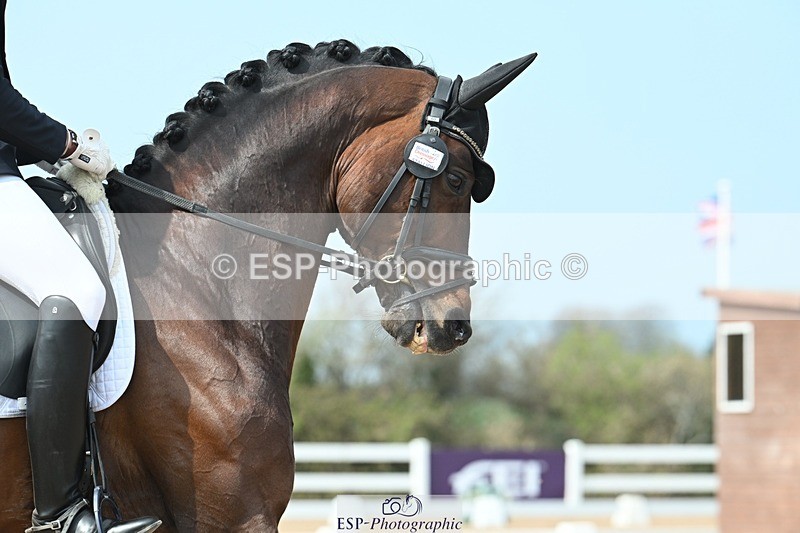 250403-120844-02245 - 048-Angus.Corrie-Deane-Maigret.VD.Watermolen