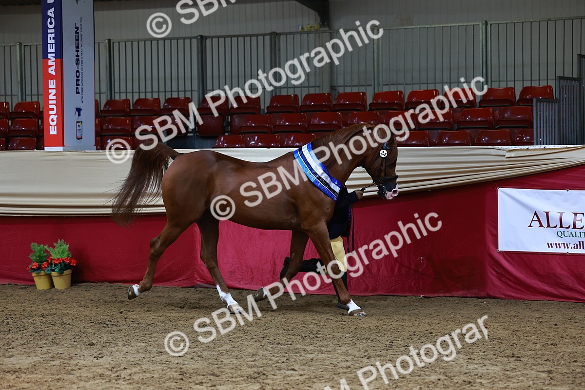 SBM_23058 - Supreme Final - IH  Champ