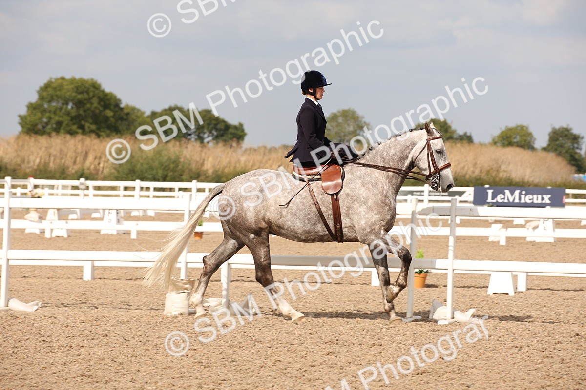 SBM_06718 - Class 24 Concours d'elegance