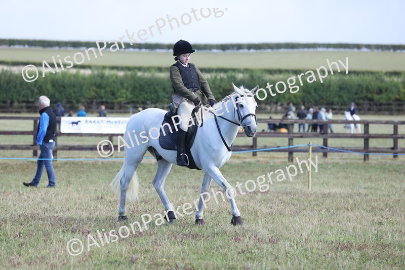 20250831-2464 - Class 16 - Family Pony