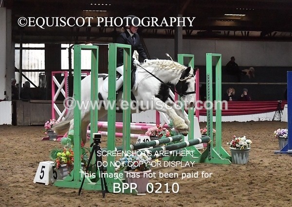 BPP_0210 - CLASS 3 50CM