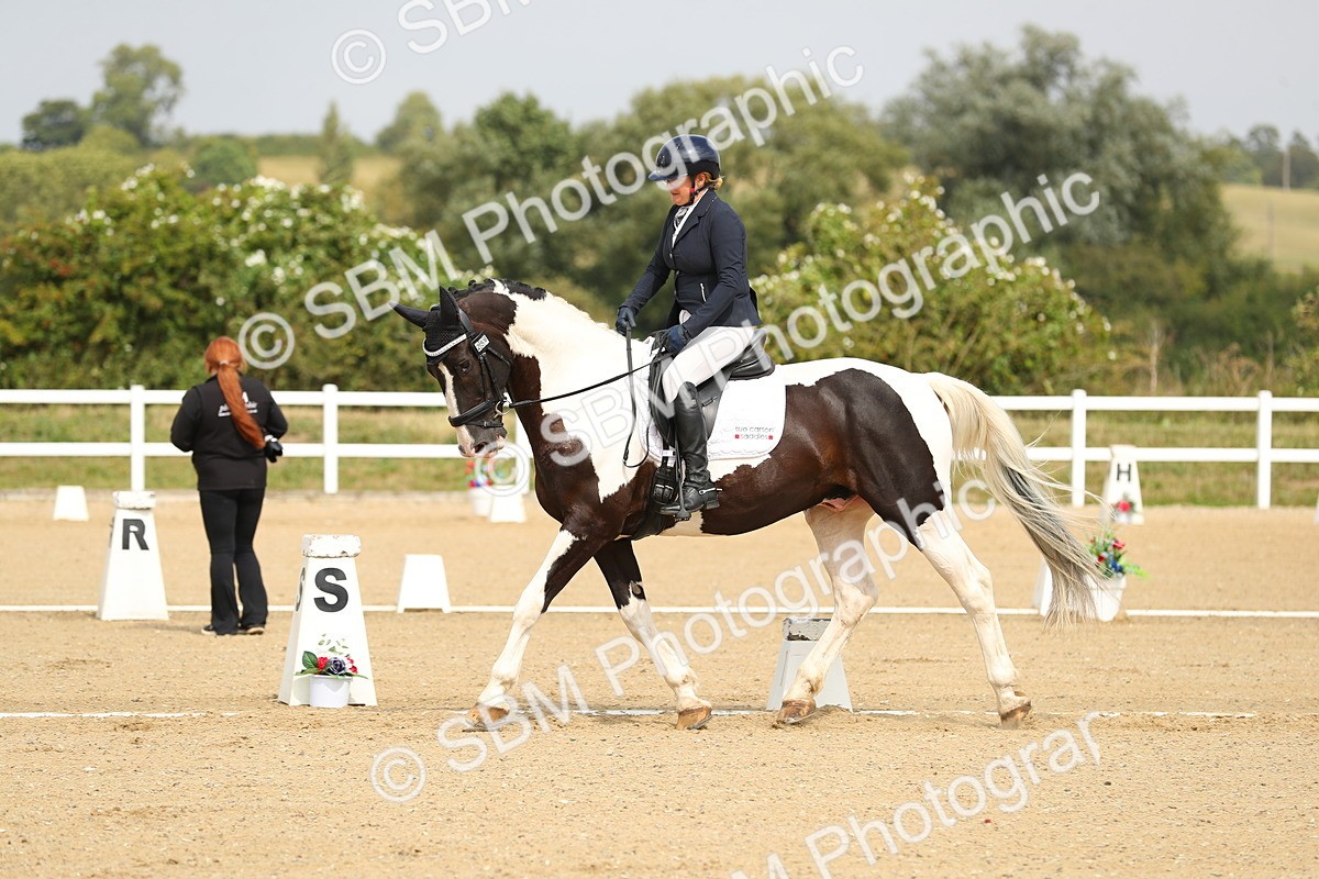 SBM_017262 - Class 13 - Novice 23 - 13.31-14.13