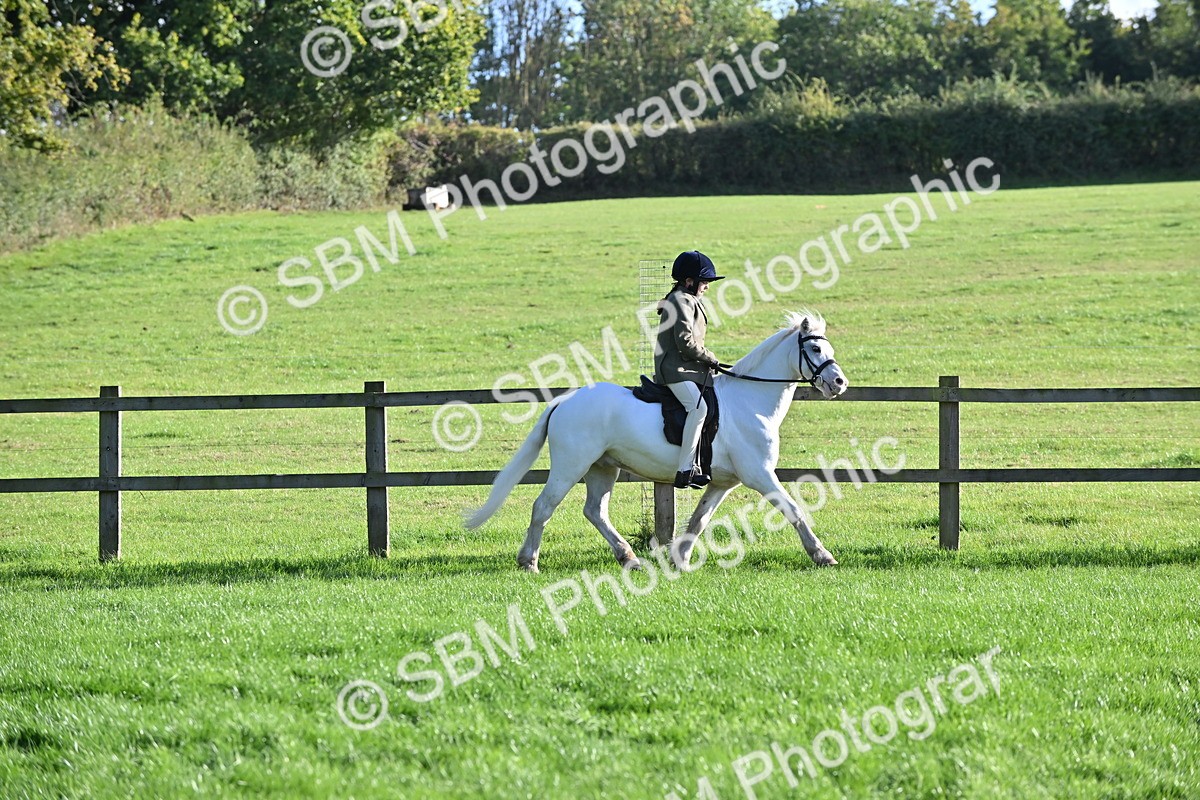 SBM_53002 - S23 - First Ridden Mountain & Moorland Pony