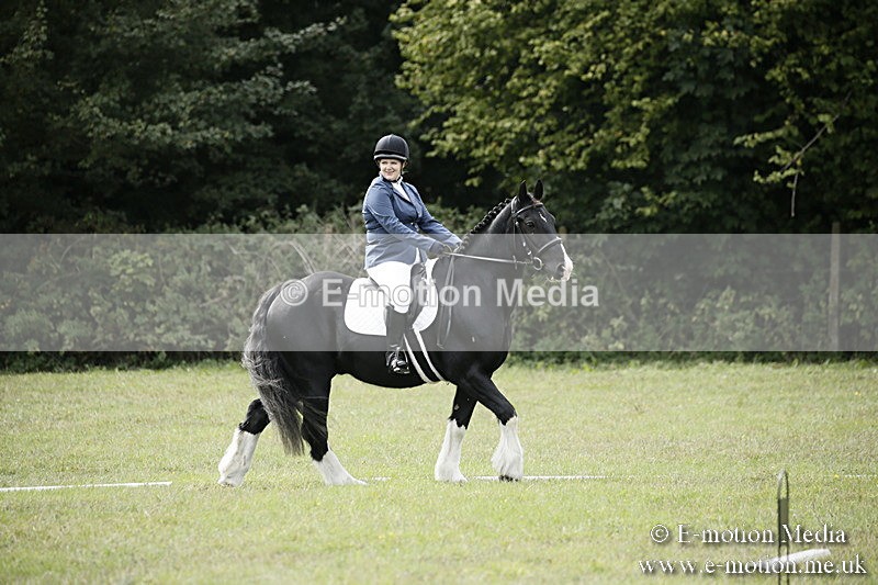BVR080918 151 - BVRC Novice Dressage & CR 08/09/18