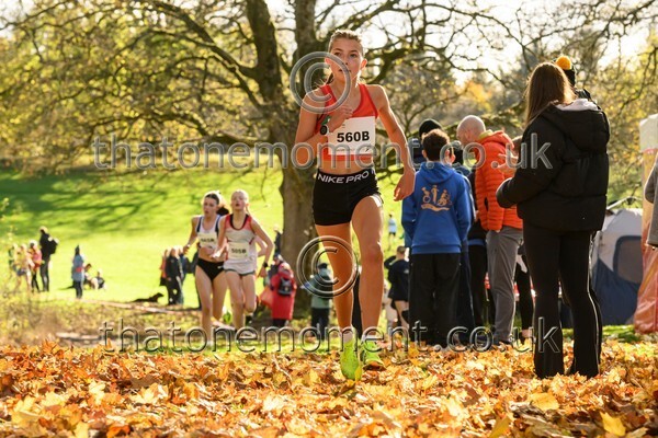 NatRel25-913454 - Young Female Set One