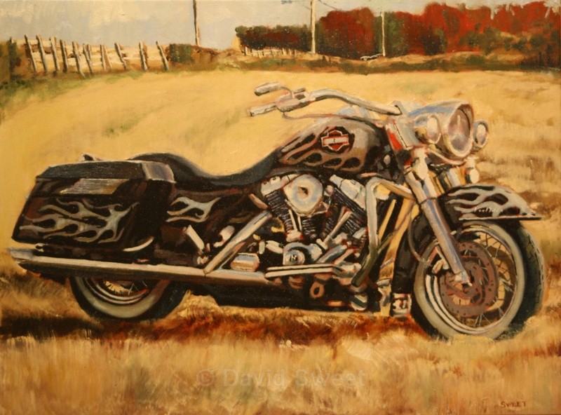 Harley - Oil Paintings