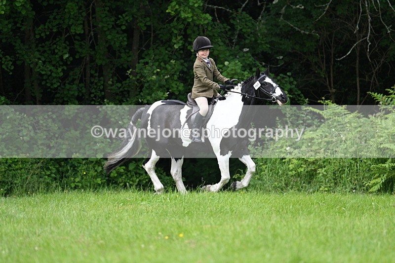 WJ7_2016 - Class 12A Coloured Class