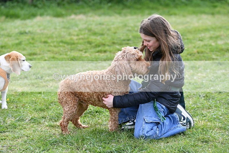 WJ5_0187 - Class 5 Best Veteran / 7 years & over