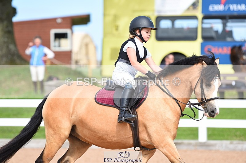 230718A-162238-00084 - 60cm