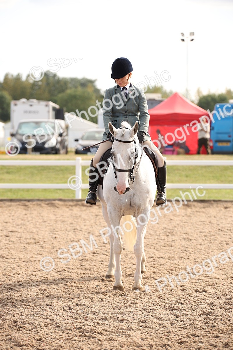 SBM_08817 - Class 12R Regional Ridden Pre-Vet