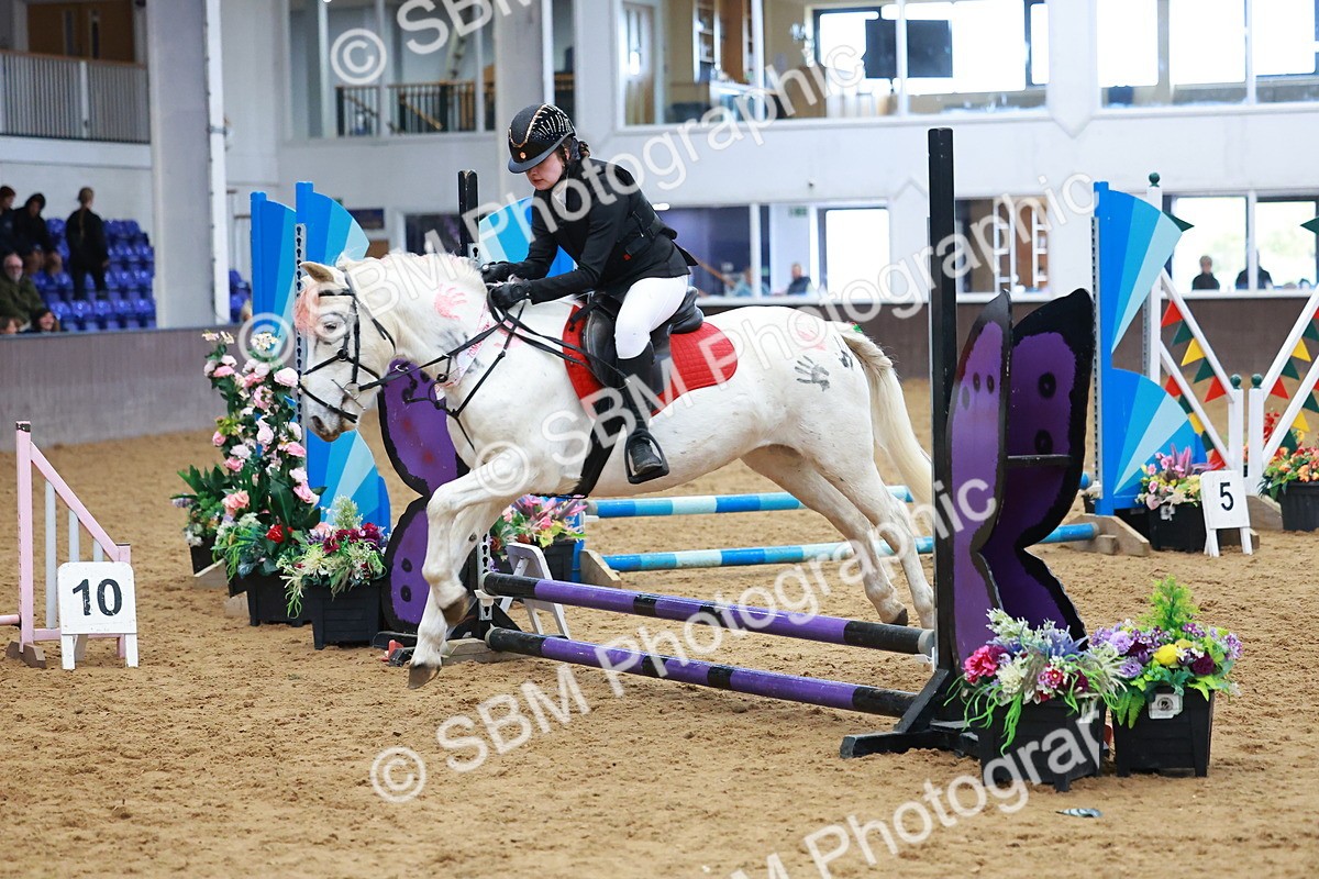 SBM_001684 - Class 3 - Horse & Hound (60cm)