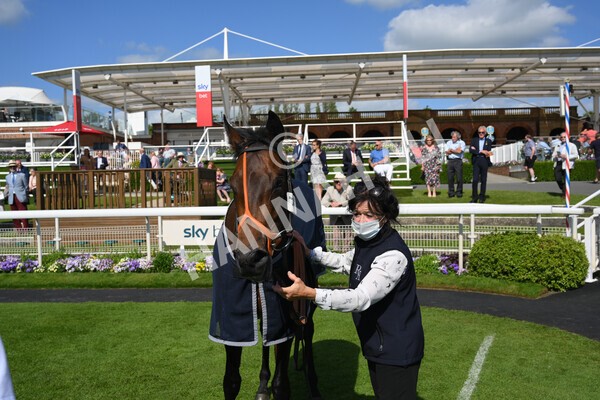 yr12062021r5-46 - Race 5 4.15pm Reg Griffin Appreciation EBFstallions.com Maiden Stakes