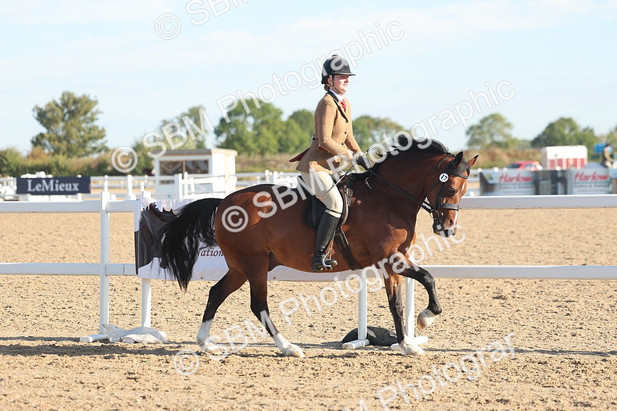 SBM_11005 - Class 302 - Ridden M&M Large Breeds