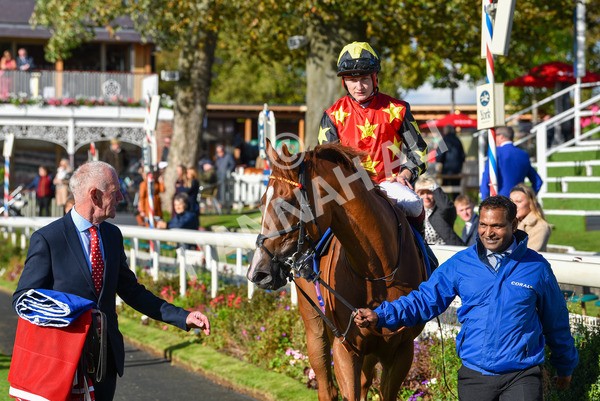 141023-Race 3-Montassib-1079 - Race 3 2.25pm Coral Sprint Trophy Handicap