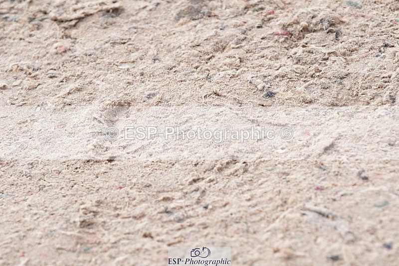 250425-090914-08312 - Cls 26 Young Horse 5yr old