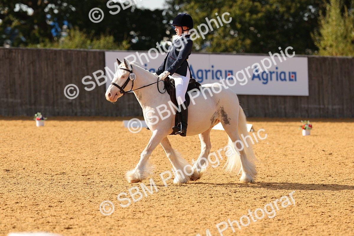 SBM_49662 - D22 - Junior Championship - Intro B