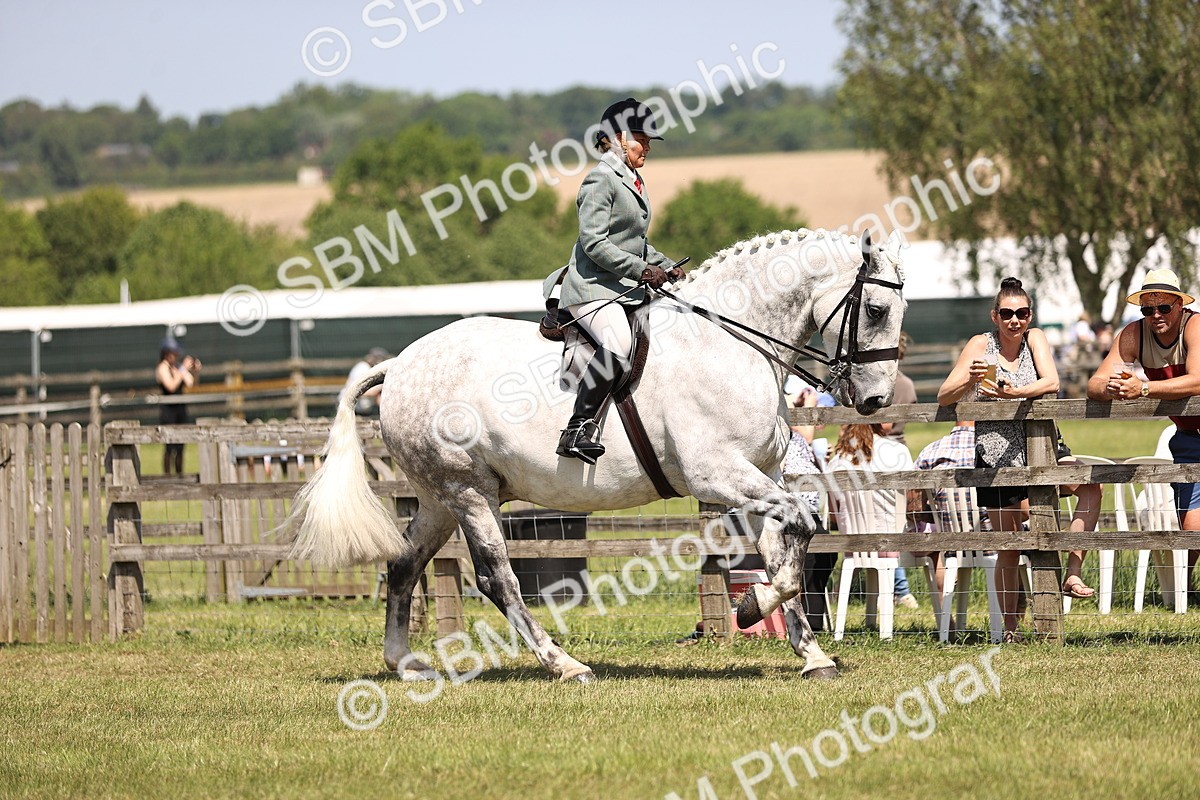 SBM_16104 - Class 79-80 - LIHS BSHA Rising Star Ridden Hunter