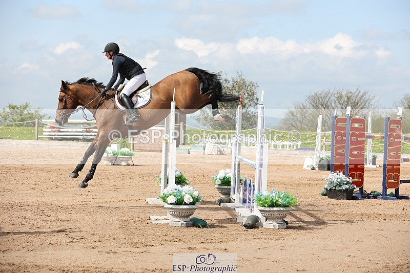 250427-111017-15840 - Cls 36 Young Horse 7yr old