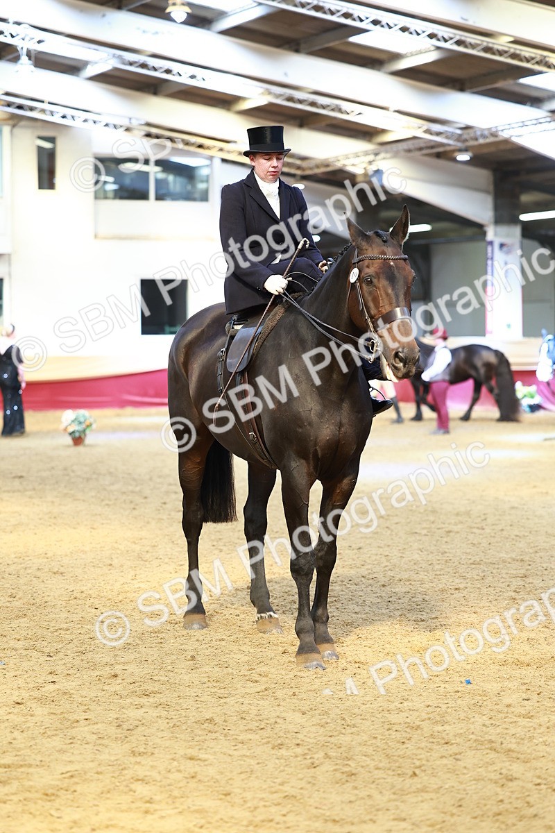 SBM_23489 - class 906 - Supreme Final - Ridden Pre Vet