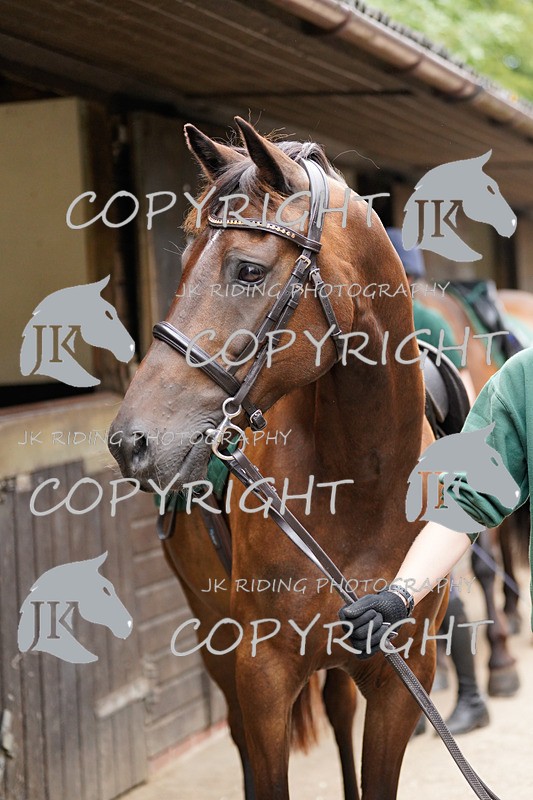 General-19 - General Photos of the week!