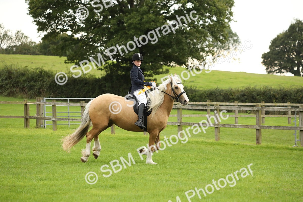 SBM_73900 - S41 - Ridden Equitation (Best Rider)