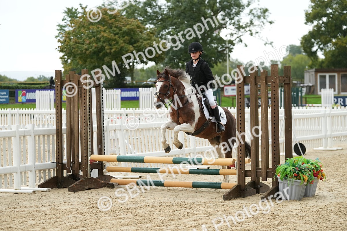 SBM_33460 - J5 - Junior Pony 50cm Championship