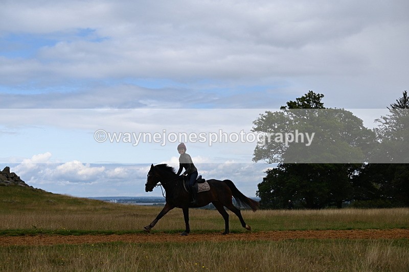 DSC_8449 - Time at Statue 13:52 to 14:33