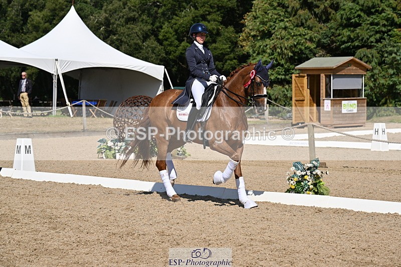 250810A-152903-08046 - Intermediate I GOLD Presentations