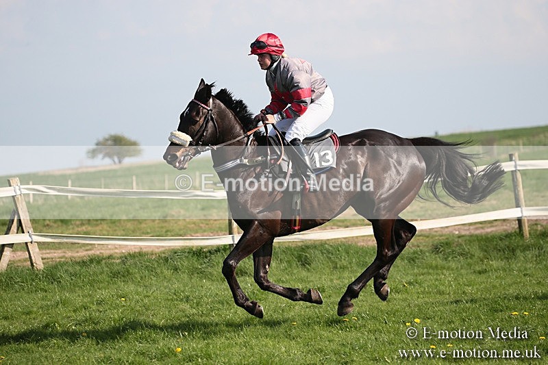 PtP 210418 464 - South & West Wilts Point-to-Point Larkhill 21/04/18