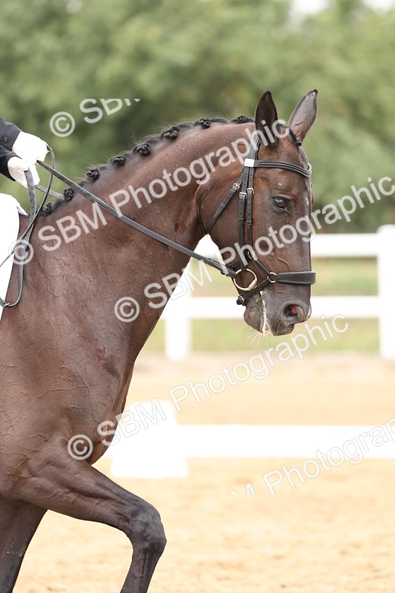 SBM_006337 - Class 6 - novice 6 - 11.50-12.46