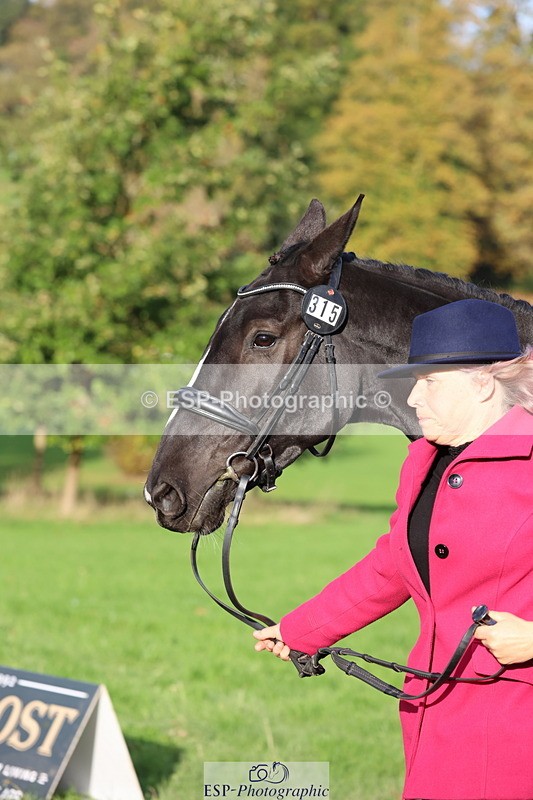 251026A-095344-22563 - D-315-Georgina.Marks