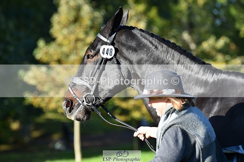 231022-105426-23582 - 448-BARATHEON-Georgina.Owen-TrotUp+SJ