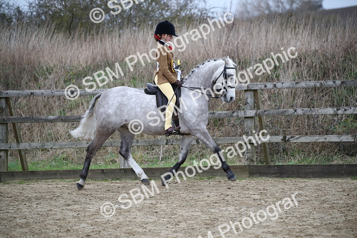 SBM_004694 - Class 5-9 - NPS In Hand-Show Hunter-Intermediate Ridden Inc Ridden Championship