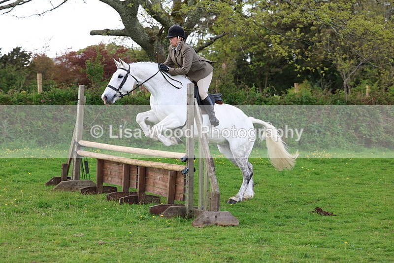 3E7A2560 - Classes 30 and 31: 80cm Working Hunter