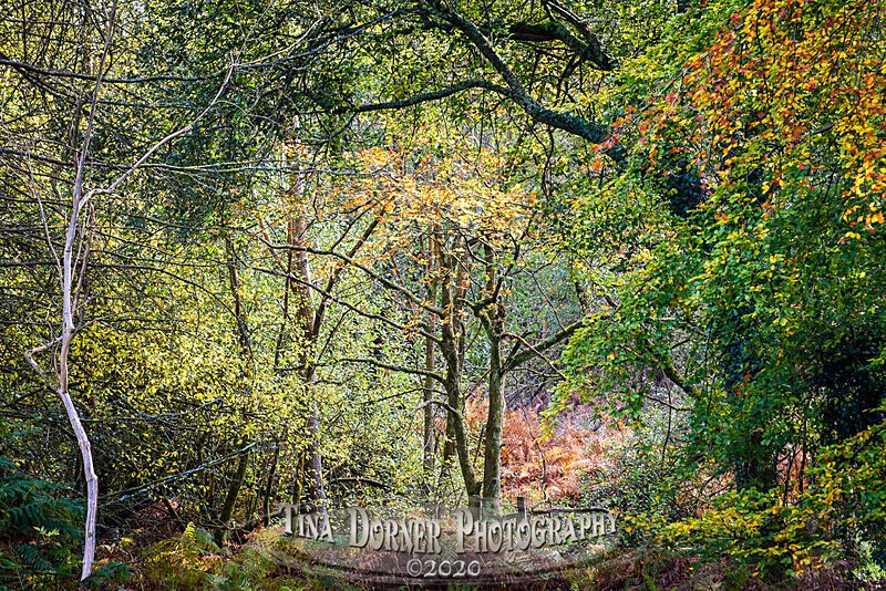'Over the Stile' by Tina Dorner Photography