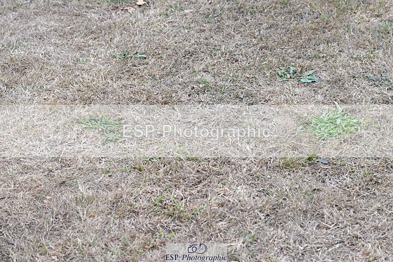 250820A-181200-12601 - Wednesday Presentations