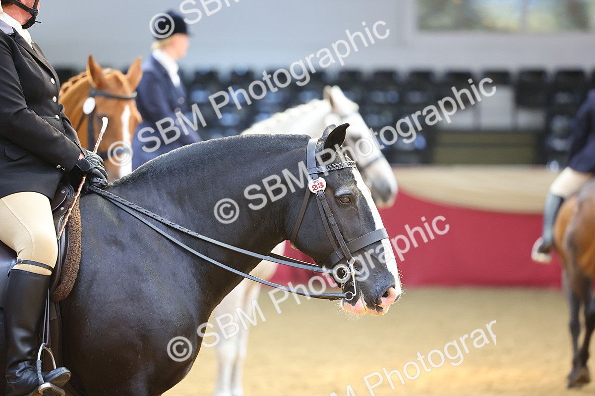 SBM_24121 - Class 905 - Supreme Final - Ridden Veteran