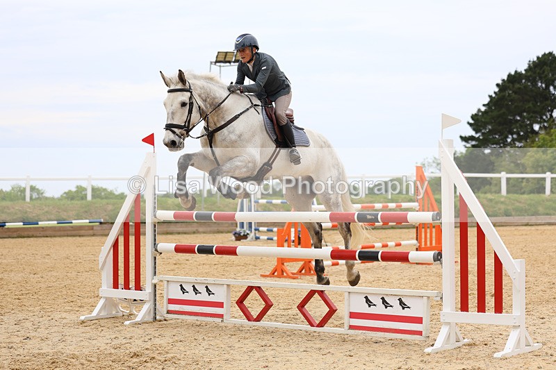 3E7A9623 - Class 9: Senior Foxhunter/1.20 open
